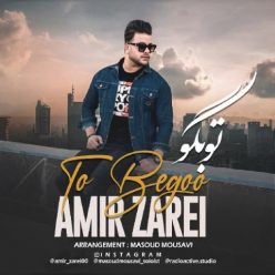 دانلود آهنگ امیر زارعی تو بگو